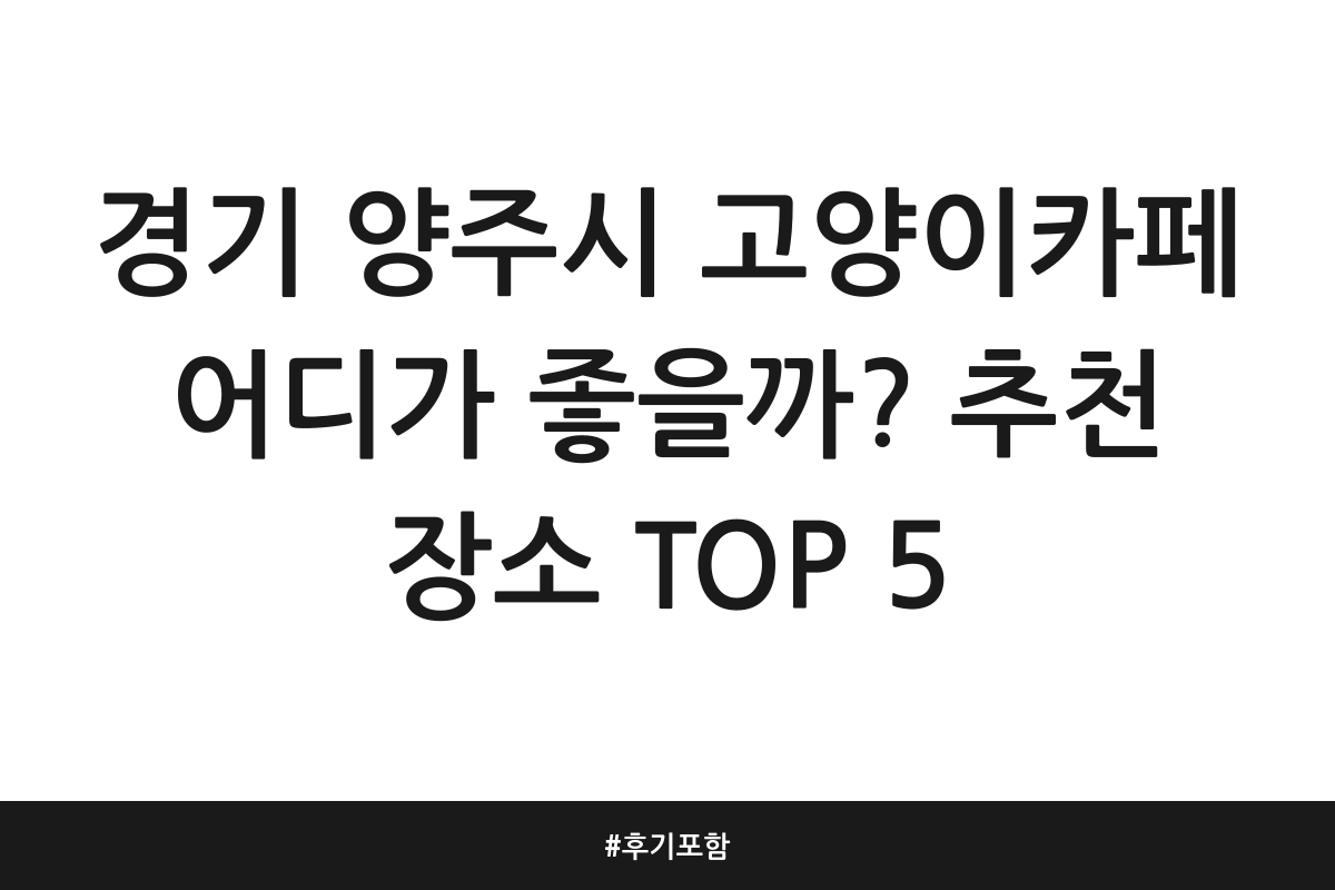 경기 양주시 고양이카페 어디가 좋을까? 추천 장소 TOP 5 | 후기 포함